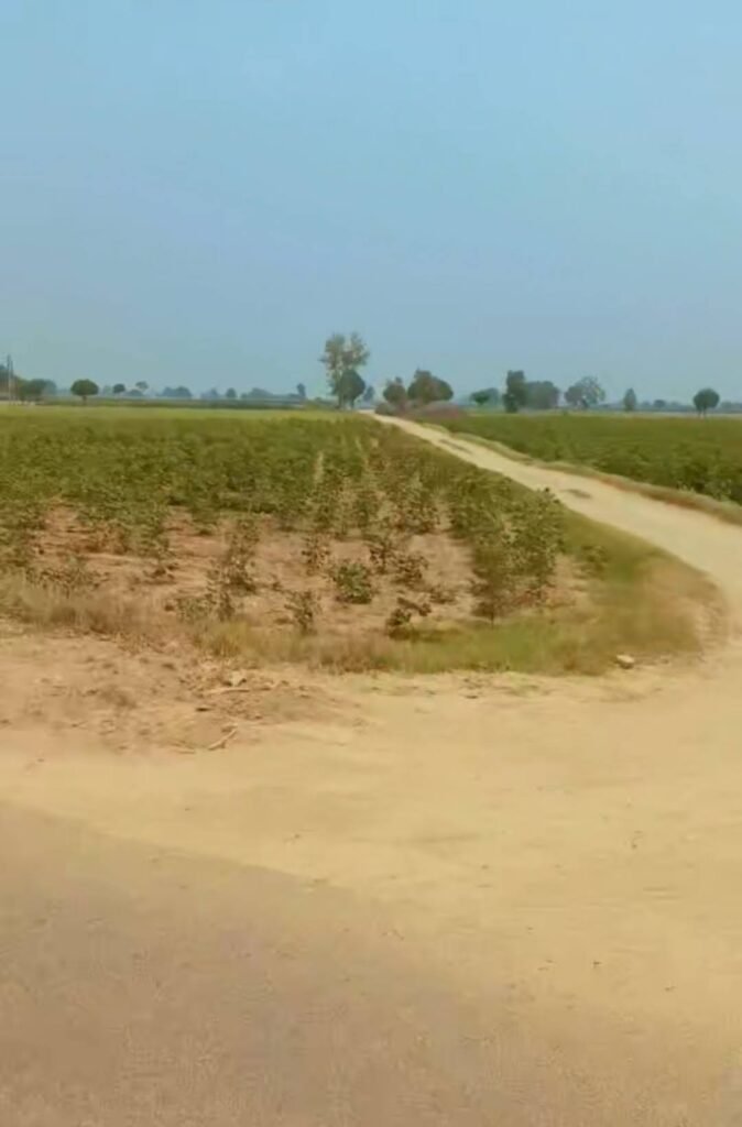 Plot Raju dhaba wali gali, corner plot, Mandi Dabwali